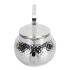 Stainless Steel Teapot with Removable Filter Metal Tea Kettle Coffee