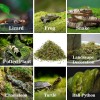 Sphagnum Moss for Reptiles -Terrarium Moss for Reptiles Peat Moss