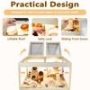 Prolee Hamster Cage Chewproof, Mice and Rat Habitat with Transparent