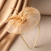 Zinniday Heart Mesh Feather Fascinators - High Tea Party Hats