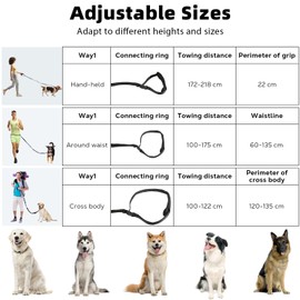 Tivray Hands Free Dog Leash, Waist Leash for 2 Dogs, Adjustable Double Hands Free Lead with Detachable Waist Belt, Padded Handles, Shock Absorbing Bungee for Walking Jogging Hiking, Black+Blue