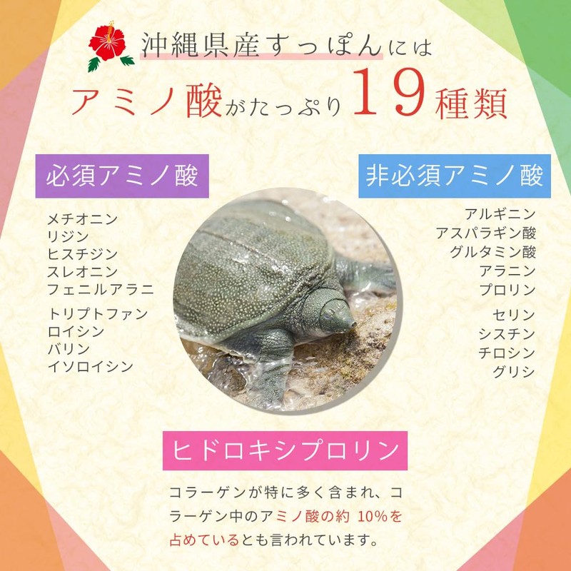 しまのや 琉球すっぽんの コラーゲンゼリー (シークワーサー味 1袋 10g× 10本 / お試しサイズ) 沖縄県産