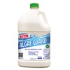 HTH 67045 Algae Guard 10 for Swimming Pools, 1 gal