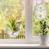 Hiceeden 6 Pack Aquatic Plant Cup with 2 Suction Cup,