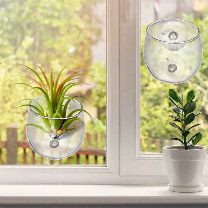 Hiceeden 6 Pack Aquatic Plant Cup with 2 Suction Cup,