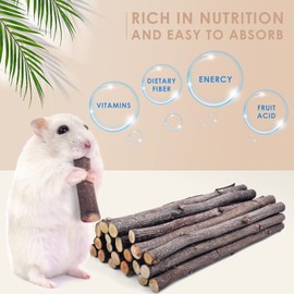 Bissap 120g/4.2oz Apple Sticks for Rabbits, Natural Bunny Chew Toys and Treats for Chinchilla Guinea Pig Hamster Gerbil Small Animals Pet Apple Wood Stick Toys Teeth Grinding