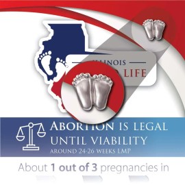 Heritage House '76 Precious Feet, Silver-Colored, Illinois Stats Card Jewelry, Lapel Pin