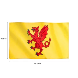 Runesol Somerset Flag, 91x152cm, 3ft x 5ft, 4 Grommets, Eyelet In Every Corner, Somerset Day, British Regional Flag, Premium Flags, Inside, Outside, Banner, Vivid Colours