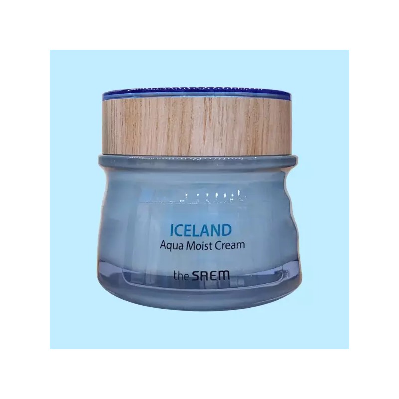 The Saem 더샘 아이슬란드 아쿠아 모이스트 크림 60ml 수분 The