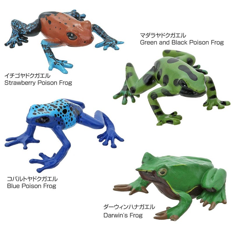 カロラータ 立体図鑑 リアルフィギュアボックス (フロッグ / 16種) カエル 虫 昆虫 (解説書付き)