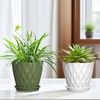 HoHomeuouz Set of 6 10 cm Plastic Flower Pots Round