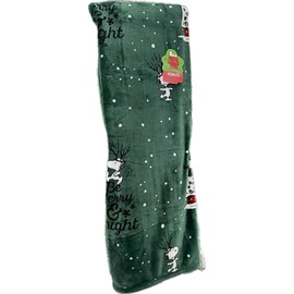 Peanuts Gang Christmas Velvet Soft Plush Throw Blanket, Green - Be Merry & Bright Doghouse with Lights, 60 x 70 inches