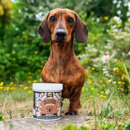 Proflax Natural - Bottoms Up Powder Supplement for Dogs, 700g - 100% Natural Dog Digestive Supplements to Keep Anal Glands Clear - Contains Pre and Probiotics for Gut Health Support