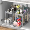 POUGNY 2PC Under Sink Organizer Rack 2 Tier Under Sliding