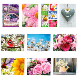 20 Greeting Cards Blank Art Photo with Envelope Folding Cards 17 x 12 cm