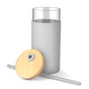 Tronco 20 oz Glass Tumbler with Lid and Straw, Iced