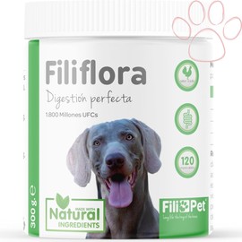 Filipet Filiflora, Probiotikum für Hunde, stellt die Darmflora Wieder her und stärkt das Immunsystem Ihres Hundes, Naturprodukt aus Pflanzenextrakten