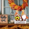 BWFY 2pcs Fall Gnomes Decorations for Home, Thanksgiving Gnomes Plush