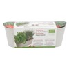 Buzzy® Herb Garden Cultivation Set - Chives - Leaf Coriander