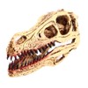 VOANZO Resin Velociraptor Skull Model Replica, Dinosaur Tooth Skull Fossil,