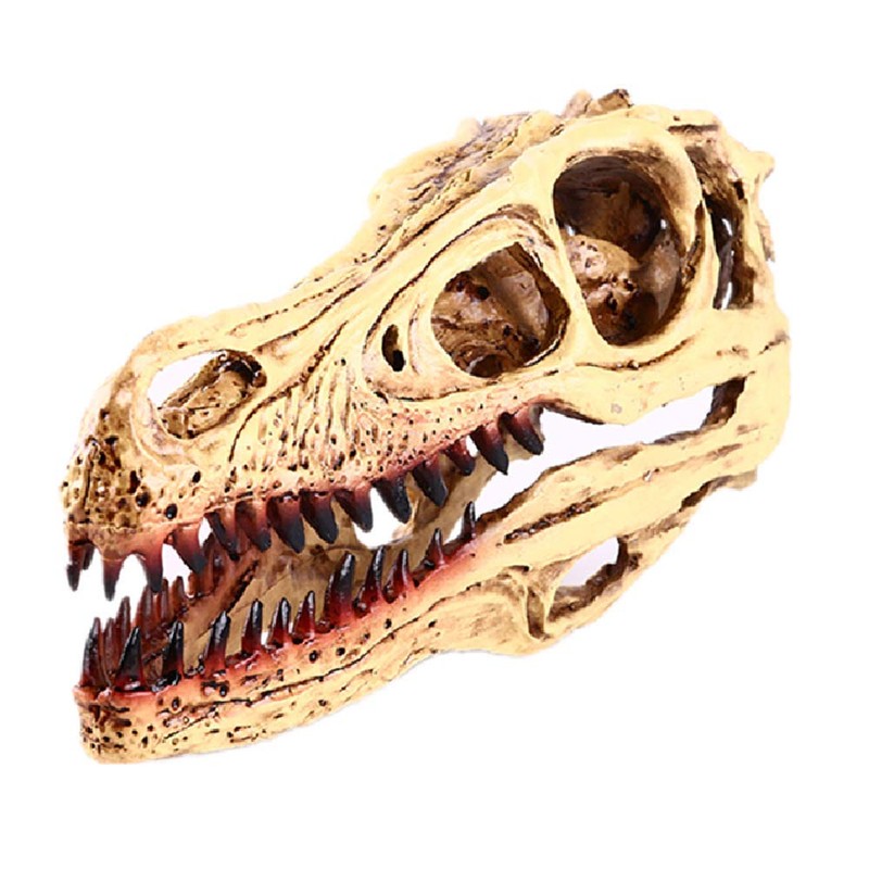 VOANZO Resin Velociraptor Skull Model Replica, Dinosaur Tooth Skull Fossil,