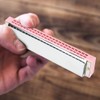 Professional Mouthorgan Harmonica Diatonic Harp C Key Stainless Steel Cover