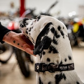 Wolfgang Heavy Duty, Adjustable Dog Collar with Quick Release Nylon Buckle for Walking & Training, DarkSkies Print, Medium