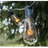 Hometown Evolution, Inc. Vintage Edison Outdoor String Lights (ST40 Clear