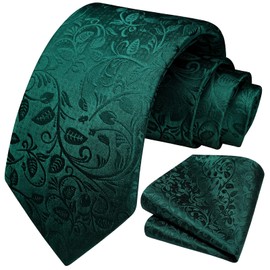 HISDERN Men's Ties Dark Green Tie and Pocket Square Set Wedding Paisley Necktie & Handkerchief Floral Jacquard Solid Color Tie Set for Men
