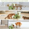 Automatic Cat Feeder Stainless Steel Water Dispenser Gravity Food Feeder