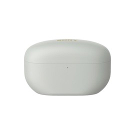 Sony WF-1000XM5 Rechargeable Charging Case with Built-in Lithium-Ion Batteries for Charging Earbuds (Silver)