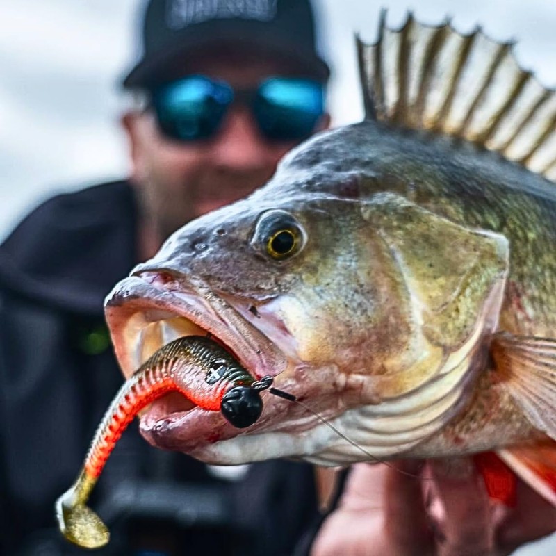 Monkey Lures King Lui - 7.5 cm, 10 cm, 12.5