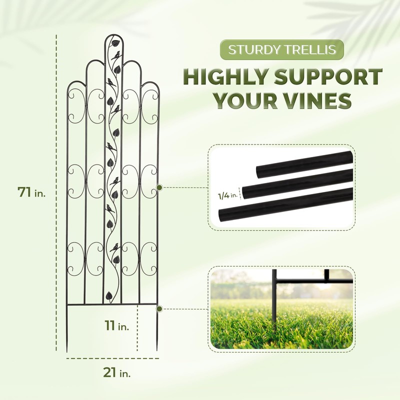 Idzo 71 in. Decorative Metal Trellis for Climbing Plants Outdoor,