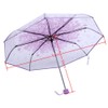 MAGT Folding Umbrella Transparent Cherry Blossom 4 Colours Transparent Fashionable