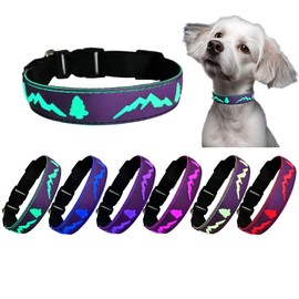 DOGLED Flashing USB-C led Light up Dog Collar, Subversive 3D Design Comfortable and Soft Material,Multicolored Lighting (TRE-Purple, XS(7.87-11.8"))