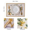 Placemats Washable 45 x 32 cm Place Mat Washable Place