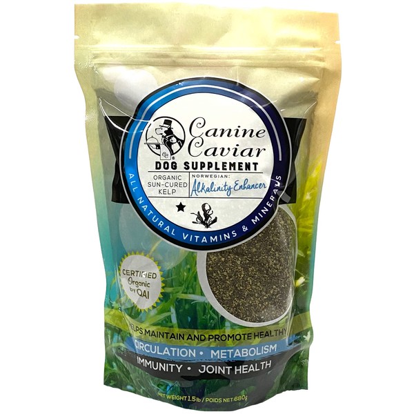 Dried Kelp Powder for Dogs - Canine Caviar Organic Norwegian Dried Kelp Supplement Powder to Improve Teeth and Gums, Circulation, Metabolism, and Joint Health, Dog Supplement (1.5 lb)