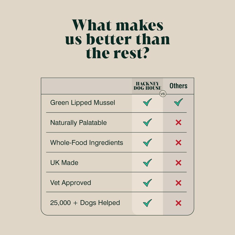 Green Lipped Mussel Powder For Dogs (100 g) | Hip