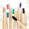 Cepillo Dientes Bambú Biodegradable Suave Ecológico 10pz F Color