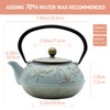 SECHUDO Cast Iron Teapot Tea Kettle with Stainless Steel Infuser
