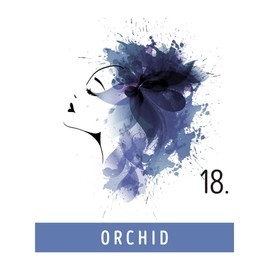 FUNKY COLOR Orchid 18, semi-permanent hair dye, semi-permanent hair colour. (28 colours)