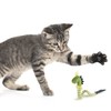 SmartyKat Bendy Buddy Bendable Catnip Cat Toy - Green, One
