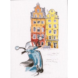 RTO Cross-stitch Kit with printed background Paint by Threads DT-M014