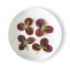 Fresh Origins Petite Greens Lucky Shamrock Red, 4 Packs of 100 Count Each, 400 Total, Extraordinary Three, Four, and Five Leaf Clovers