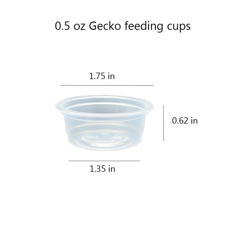 QIHYCUF 100 pcs Small Gecko Food and Water Cups Plastic
