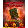 MAPDA KIMCHIP! Crispy Seaweed Snack (10 Packs) Spicy Kimchi Salsa