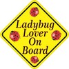 StickerTalk Ladybug Lover on Board Vinyl Sticker, 5 inches by