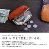 Rinori Women’s Coin Purse, Leather, Metal Clasp Opening, Excellent Storage