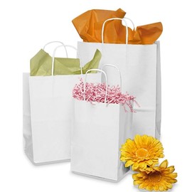 White Paper Gift Bags | Quantity: 25 | Width: 10" Gusset - 5"