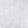 KASARO Peel and Stick Backsplash Shell Tiles, Mother of Pearl
